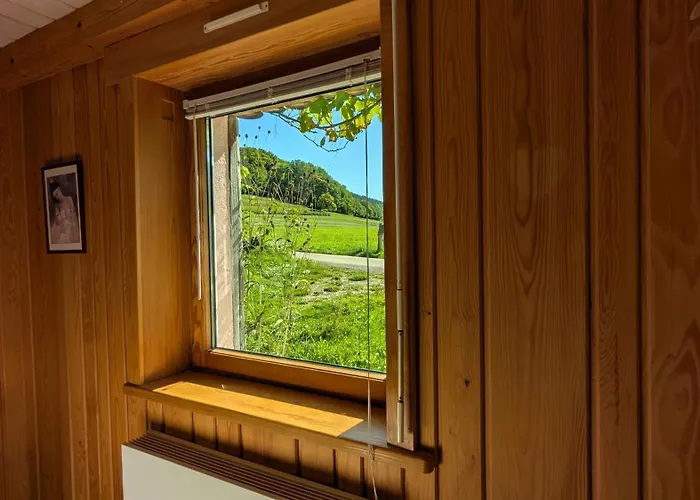 2 Ecologiques, Spa-jacuzzi, Montagne Vosges